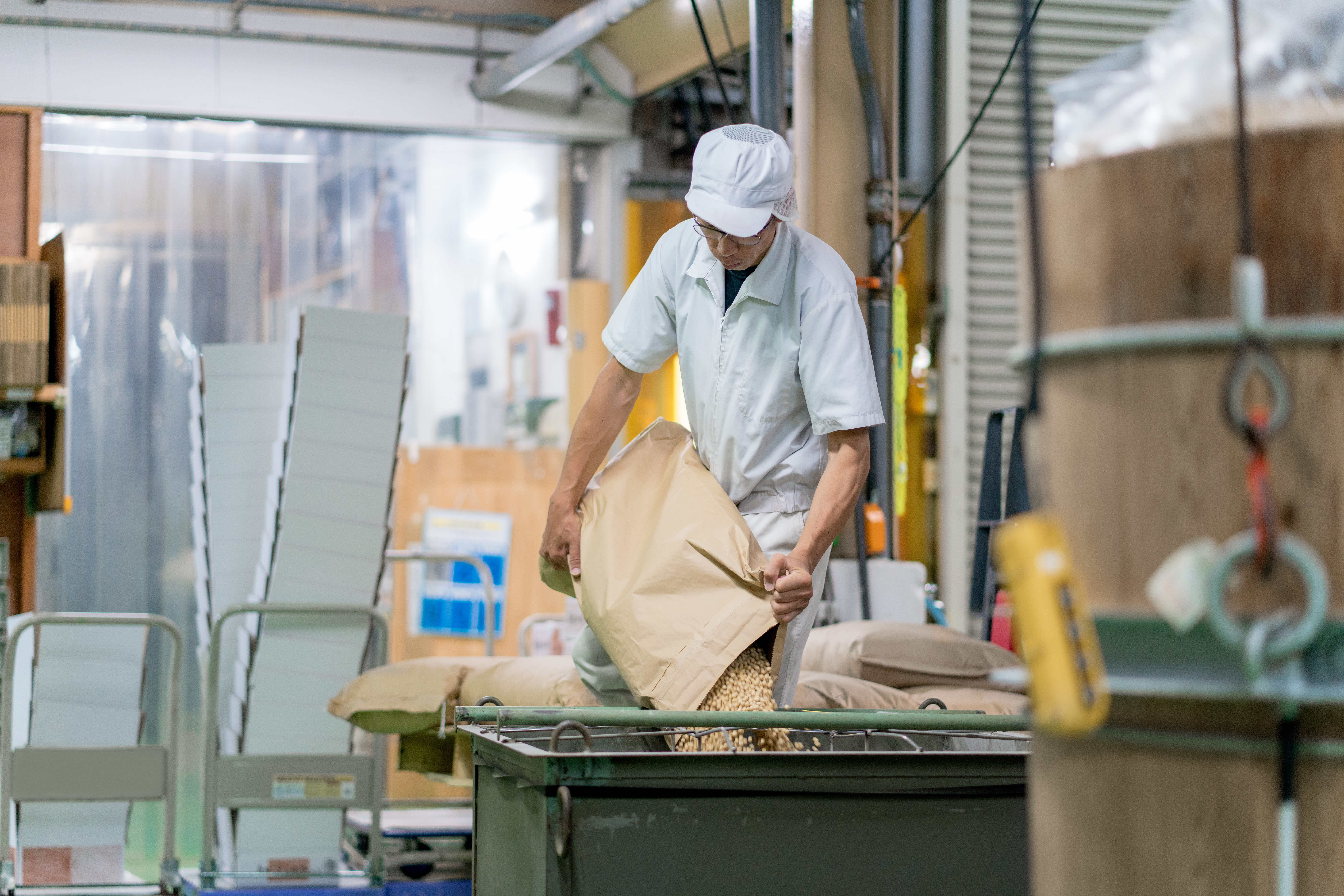 Photo of a worked in a food processing facility pouring a large bag of chickpeas into a bin. 